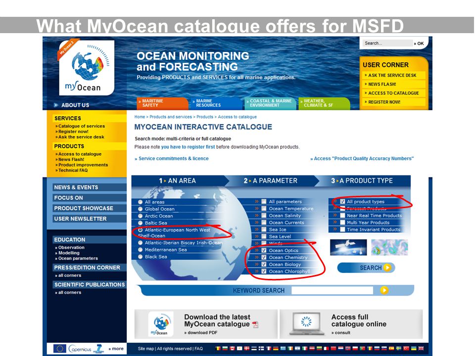 What MyOcean catalogue offers for MSFD