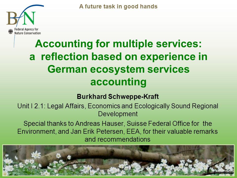 A future task in good hands Accounting for multiple services: a ...