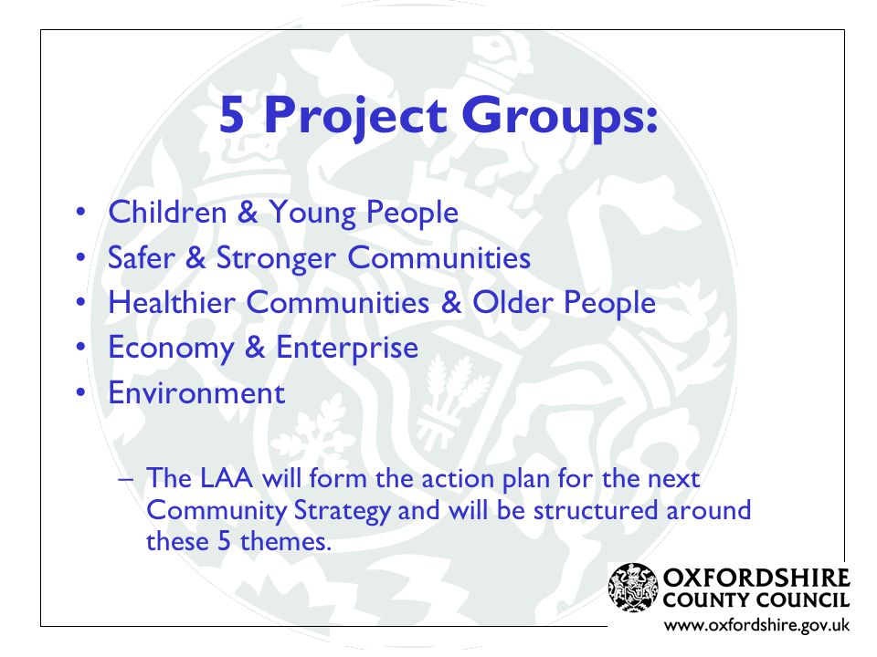 5 Project Groups: Children & Young People Safer & Stronger Communities Healthier Communities & Older People Economy & Enterprise Environment –The LAA will form the action plan for the next Community Strategy and will be structured around these 5 themes.