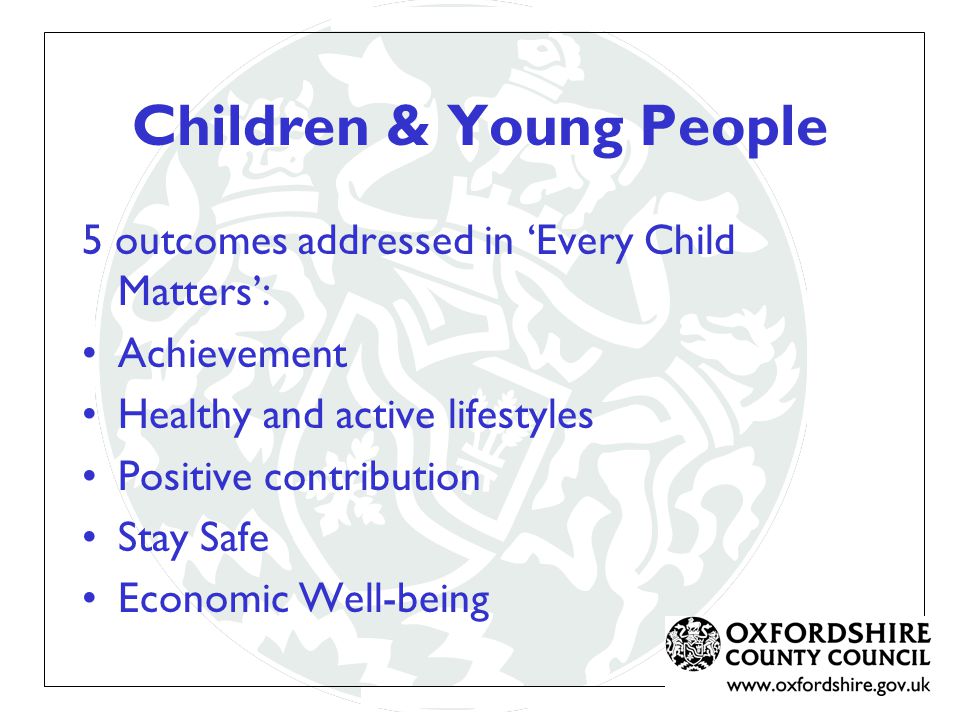 Children & Young People 5 outcomes addressed in ‘Every Child Matters’: Achievement Healthy and active lifestyles Positive contribution Stay Safe Economic Well-being