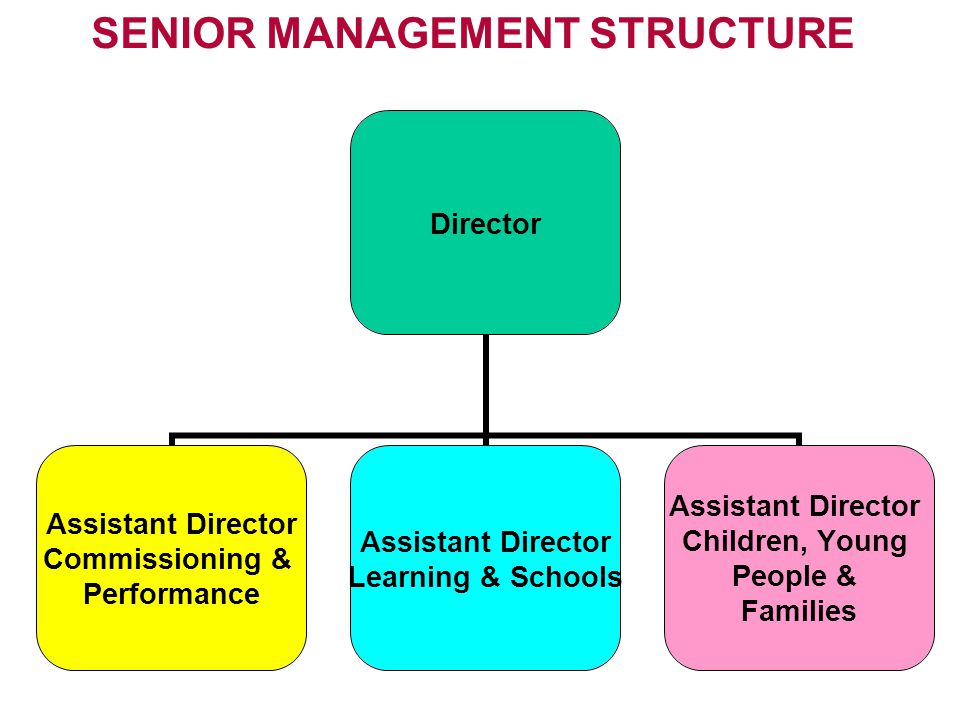 SENIOR MANAGEMENT STRUCTURE Director Assistant Director Commissioning & Performance Assistant Director Learning & Schools Assistant Director Children, Young People & Families
