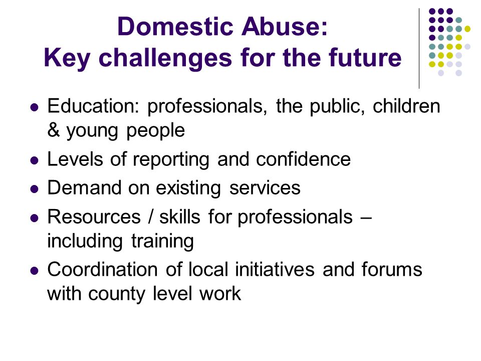 Domestic Abuse: Key challenges for the future Education: professionals, the public, children & young people Levels of reporting and confidence Demand on existing services Resources / skills for professionals – including training Coordination of local initiatives and forums with county level work