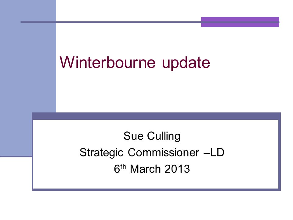 Winterbourne update Sue Culling Strategic Commissioner –LD 6 th March 2013