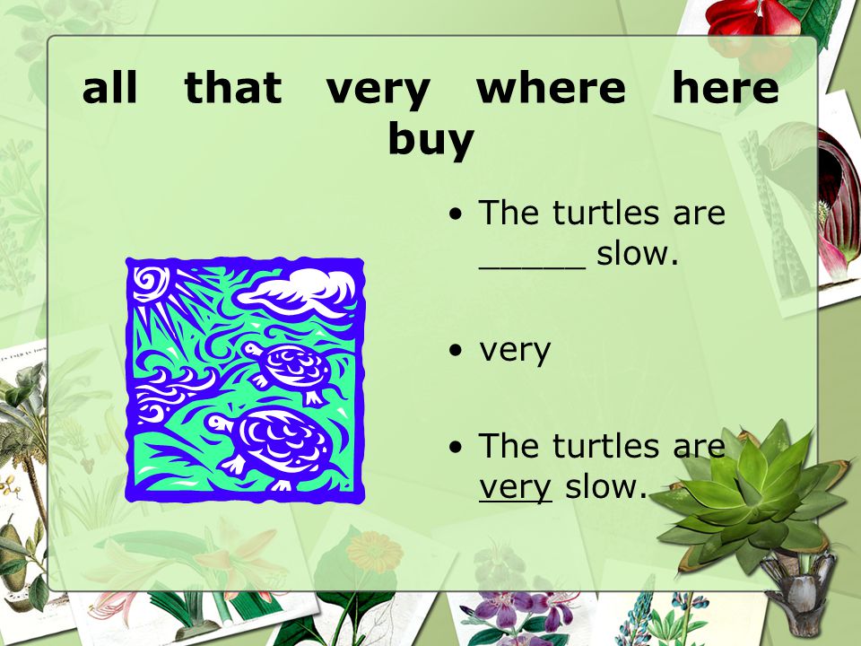 all that very where here buy The turtles are _____ slow. very The turtles are very slow.