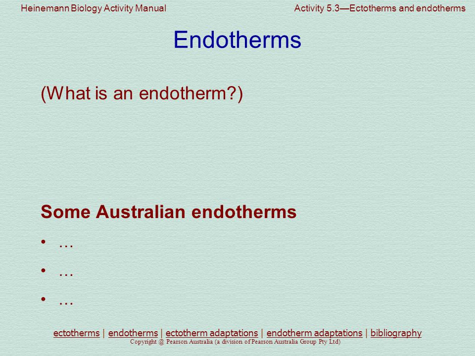 australian endotherms