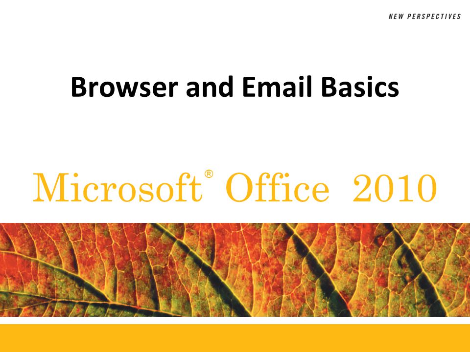® Microsoft Office 2010 Browser and  Basics