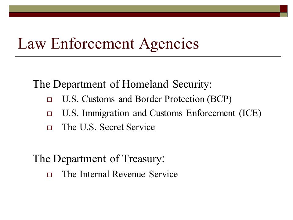 Law Enforcement Agencies The Department of Homeland Security:  U.S.