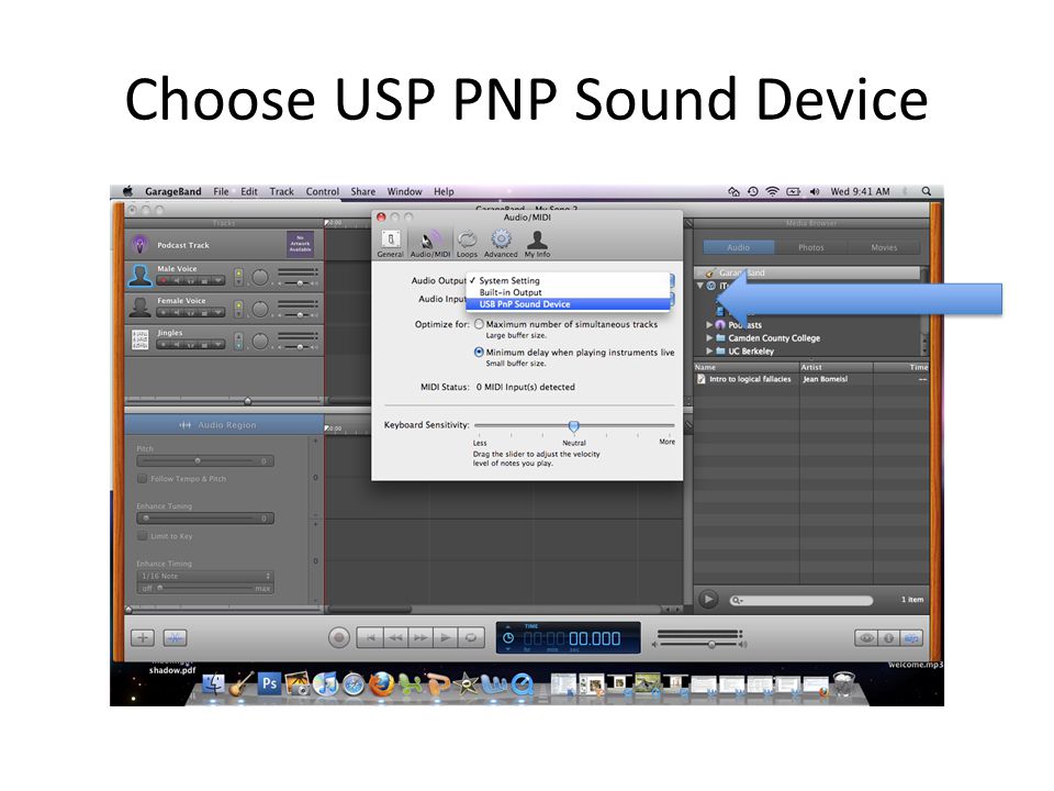Choose USP PNP Sound Device