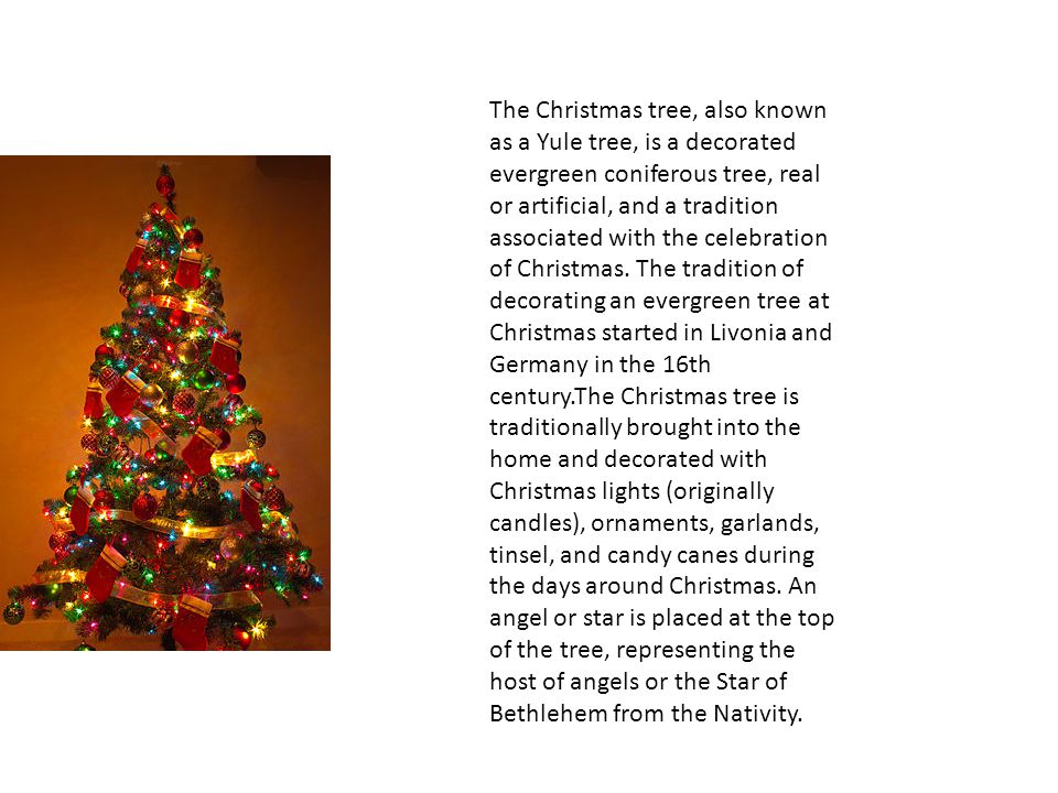 The Christmas tree, also known as a Yule tree, is a decorated evergreen coniferous tree, real or artificial, and a tradition associated with the celebration of Christmas.