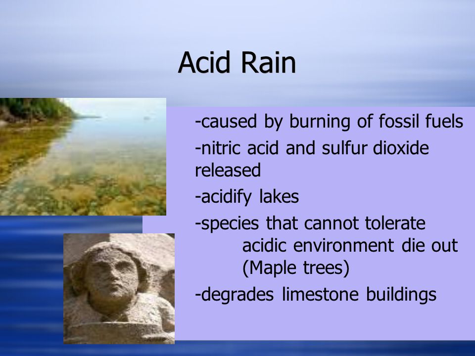 Acid Rain -caused by burning of fossil fuels -nitric acid and sulfur dioxide released -acidify lakes -species that cannot tolerate acidic environment die out (Maple trees) -degrades limestone buildings -caused by burning of fossil fuels -nitric acid and sulfur dioxide released -acidify lakes -species that cannot tolerate acidic environment die out (Maple trees) -degrades limestone buildings
