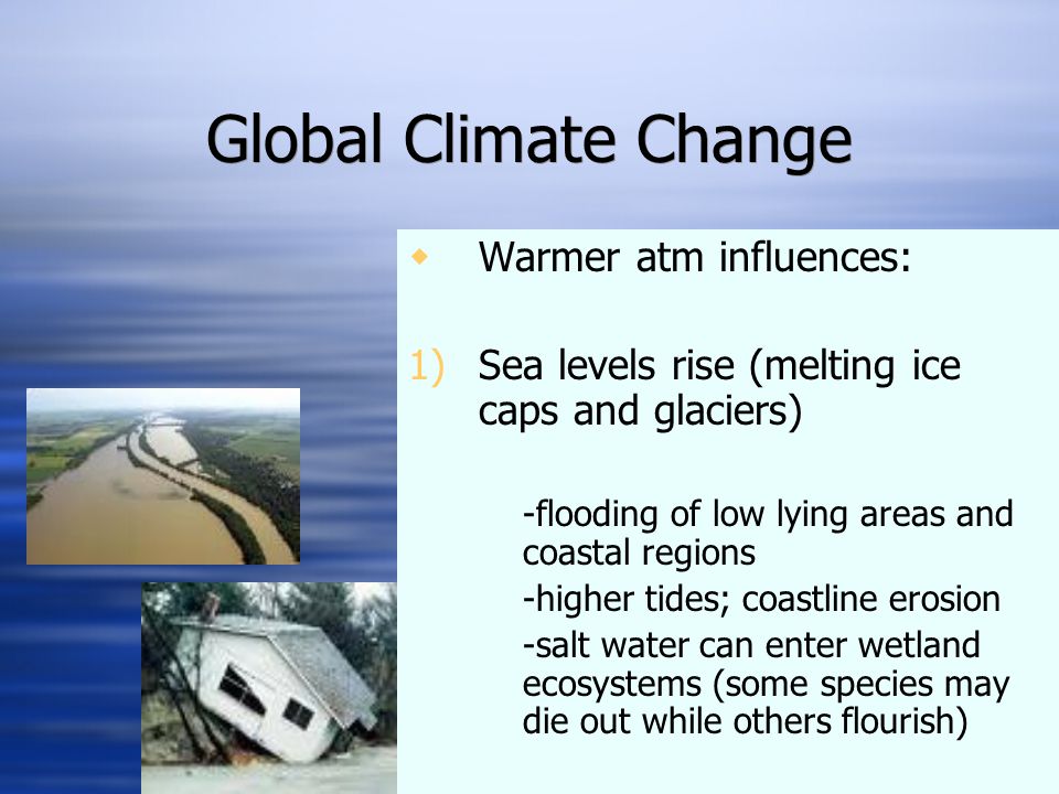 Global Climate Change  Warmer atm influences: 1)Sea levels rise (melting ice caps and glaciers) -flooding of low lying areas and coastal regions -higher tides; coastline erosion -salt water can enter wetland ecosystems (some species may die out while others flourish)  Warmer atm influences: 1)Sea levels rise (melting ice caps and glaciers) -flooding of low lying areas and coastal regions -higher tides; coastline erosion -salt water can enter wetland ecosystems (some species may die out while others flourish)