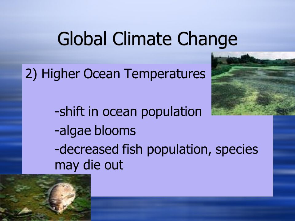 Global Climate Change 2) Higher Ocean Temperatures -shift in ocean population -algae blooms -decreased fish population, species may die out 2) Higher Ocean Temperatures -shift in ocean population -algae blooms -decreased fish population, species may die out