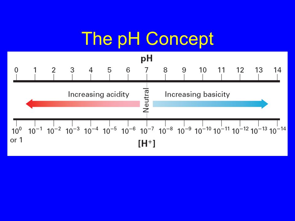 The pH Concept –pH and Significant Figures 19.2