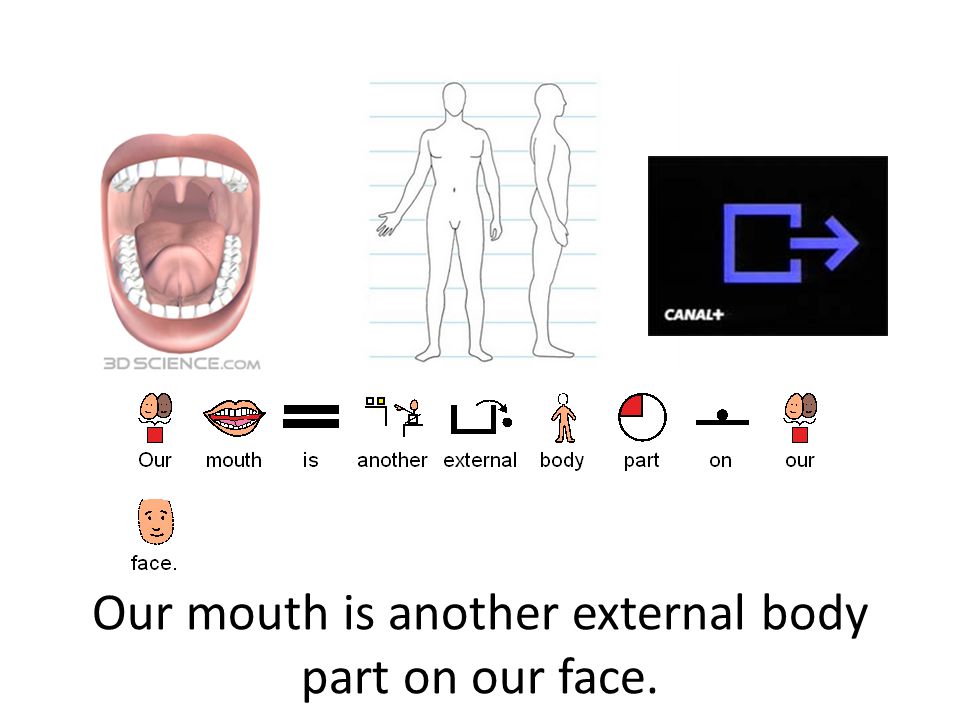 Our mouth is another external body part on our face.