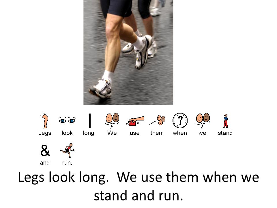 Legs look long. We use them when we stand and run.