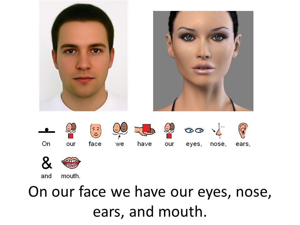 On our face we have our eyes, nose, ears, and mouth.
