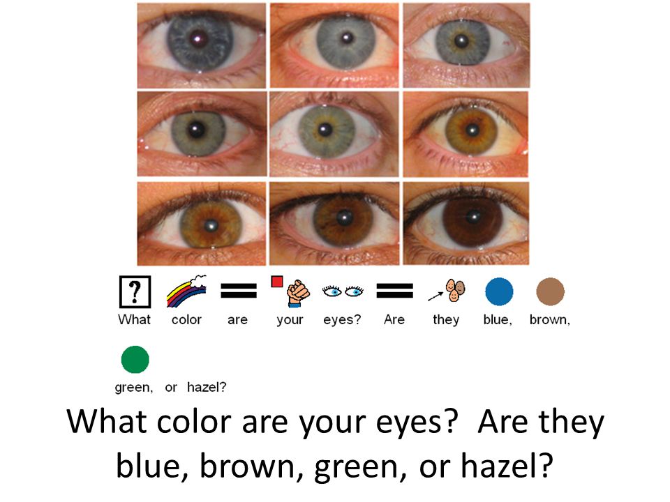 What color are your eyes Are they blue, brown, green, or hazel