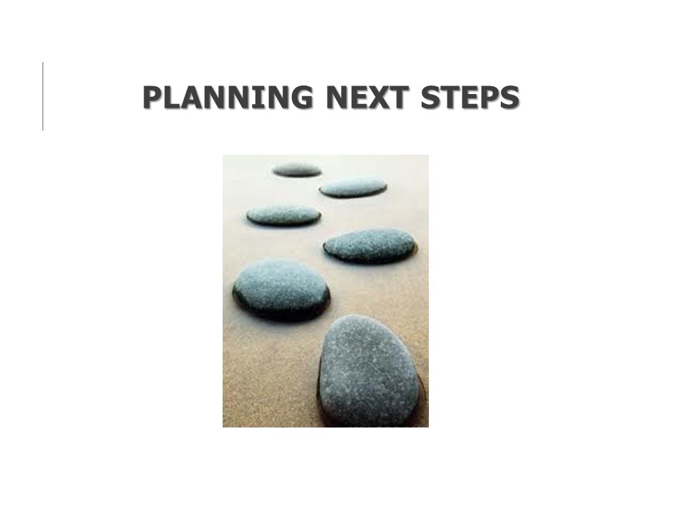 PLANNING NEXT STEPS