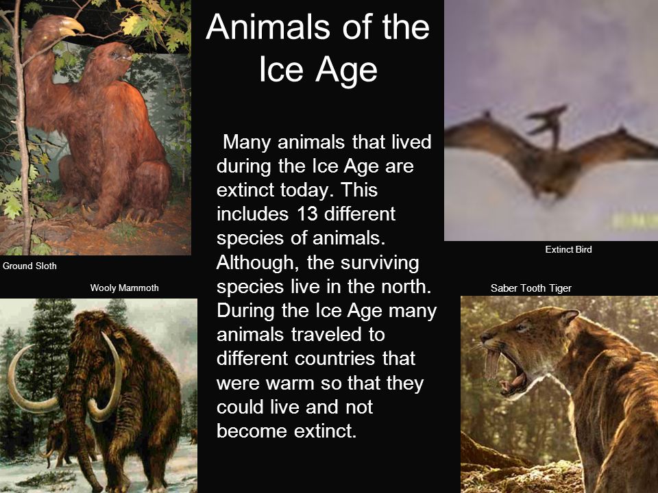 The Ice Age By Brian. Introduction In this PowerPoint about the Ice Age you  will learn what started this strange phenomenon. You will also learn what.  - ppt download