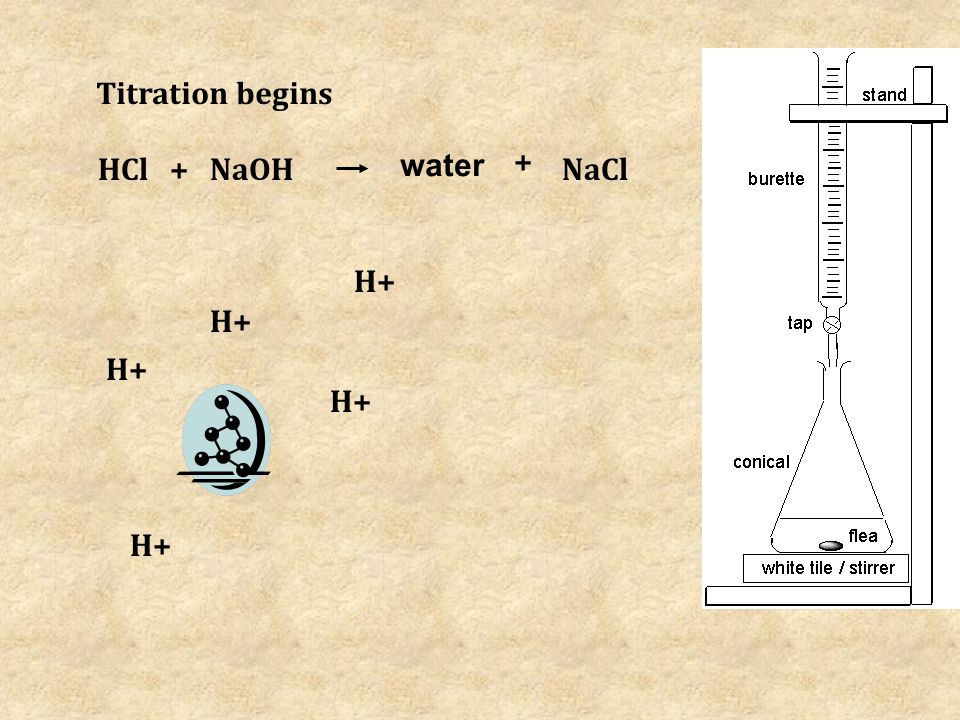 HCl H+ NaOH Titration begins + water NaCl +
