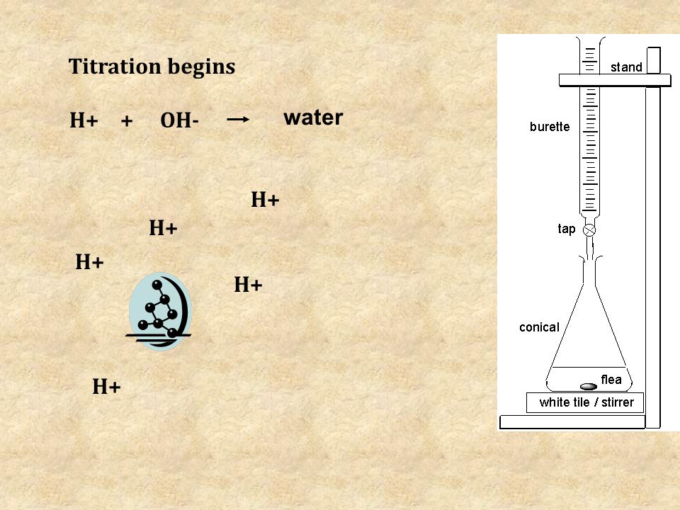 H+ OH- Titration begins + water