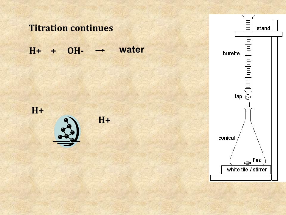 H+ OH- Titration continues + water