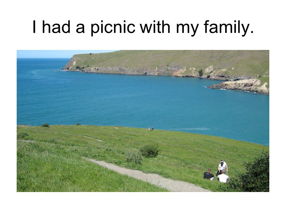 I had a picnic with my family.