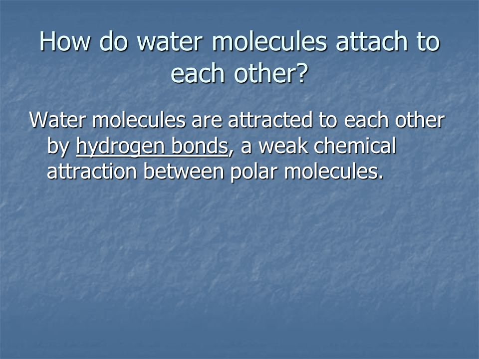 How do water molecules attach to each other.