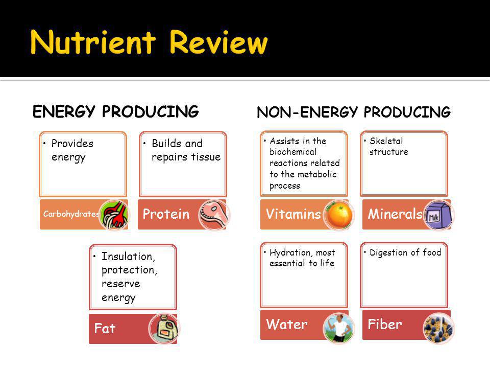 ENERGY PRODUCING Provides energy Carbohydrates Builds and repairs tissue Protein Insulation, protection, reserve energy Fat NON-ENERGY PRODUCING Assists in the biochemical reactions related to the metabolic process Vitamins Skeletal structure Minerals Hydration, most essential to life Water Digestion of food Fiber