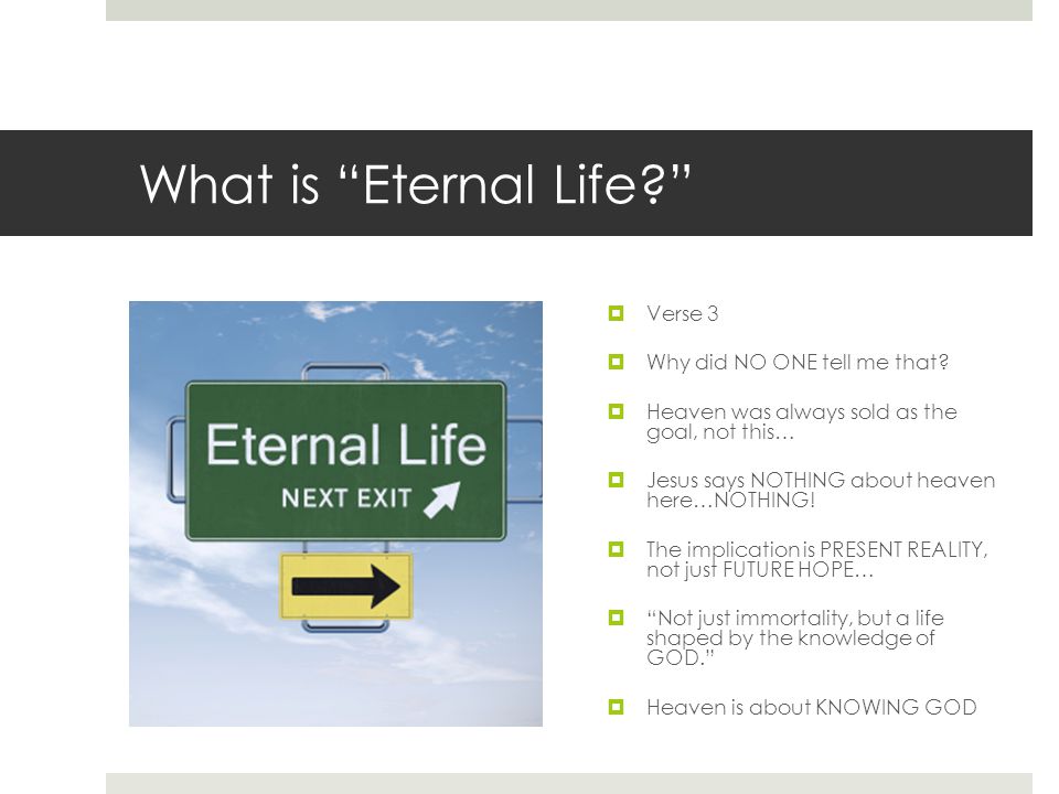 What is Eternal Life  Verse 3  Why did NO ONE tell me that.