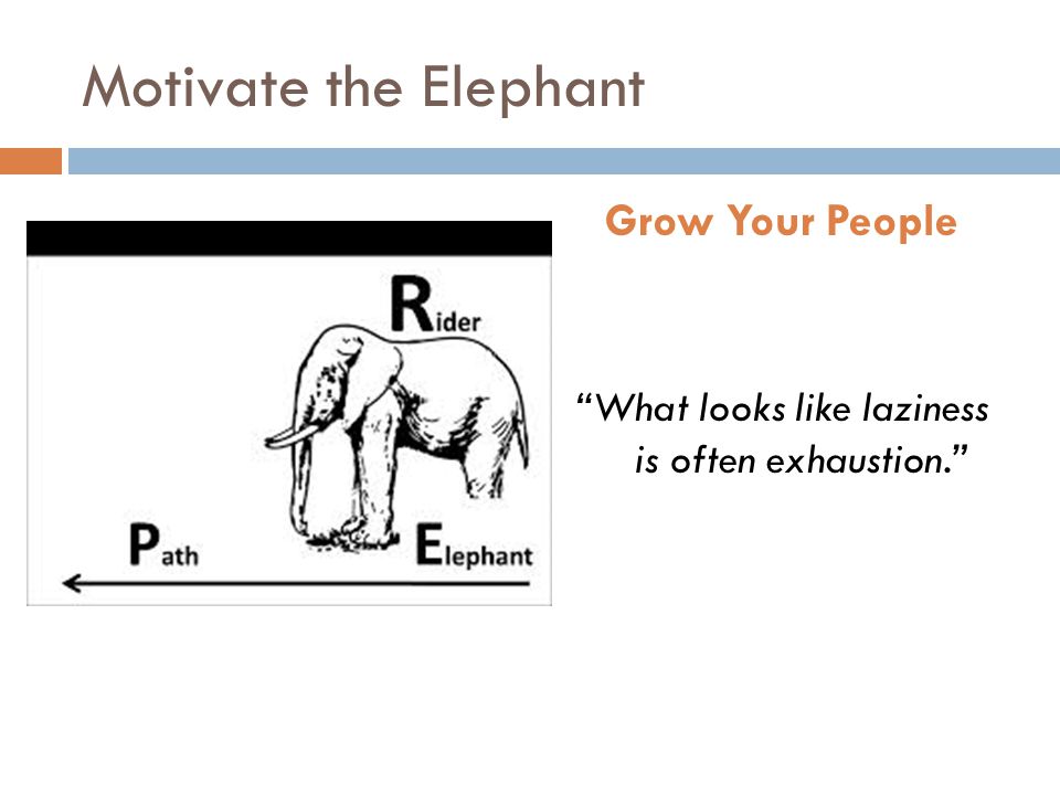 Motivate the Elephant Grow Your People What looks like laziness is often exhaustion.