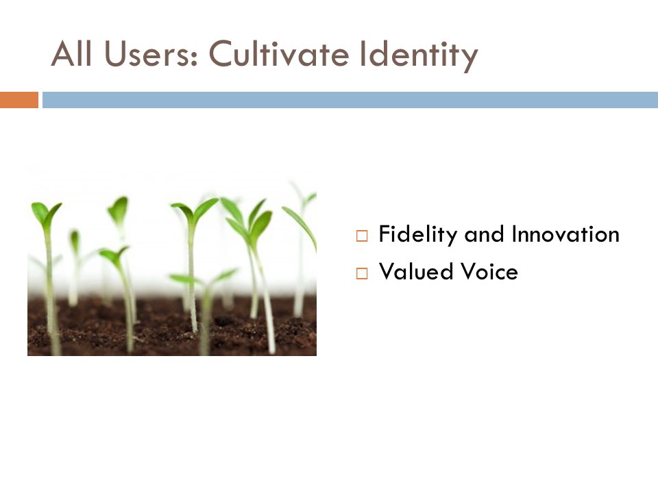 All Users: Cultivate Identity  Fidelity and Innovation  Valued Voice