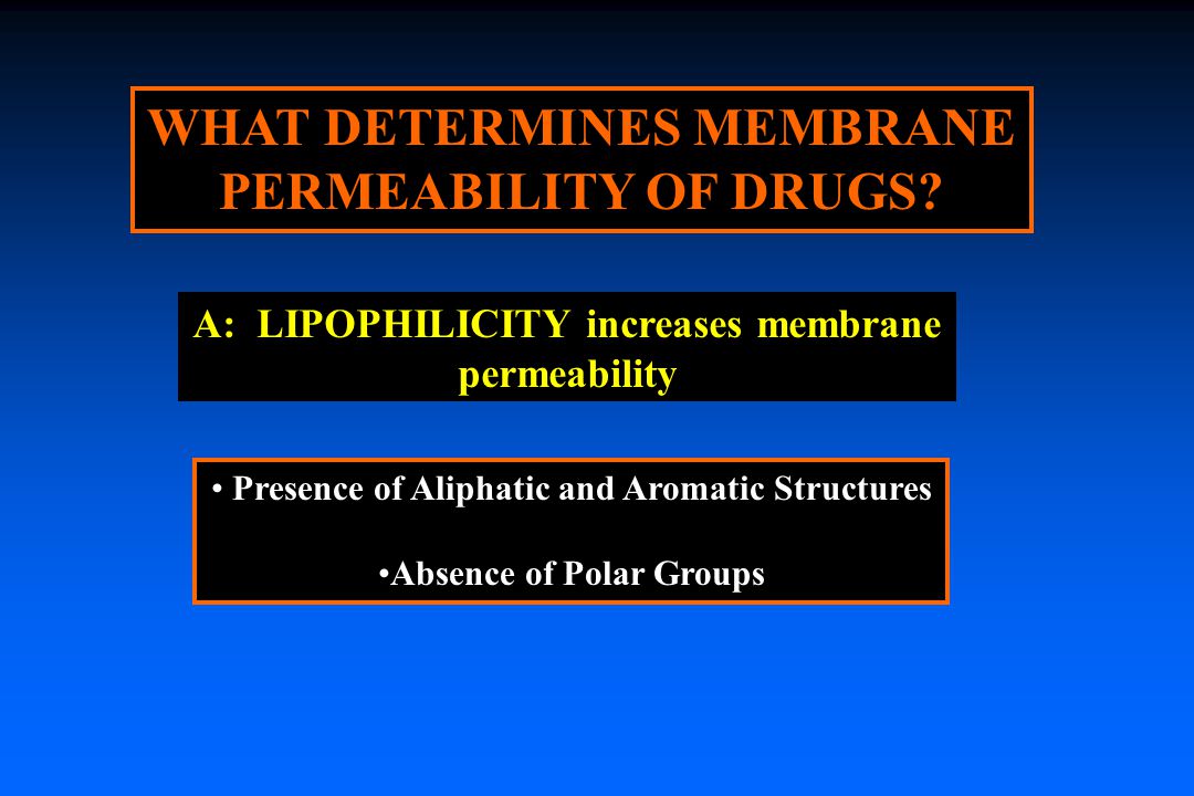 WHAT DETERMINES MEMBRANE PERMEABILITY OF DRUGS.