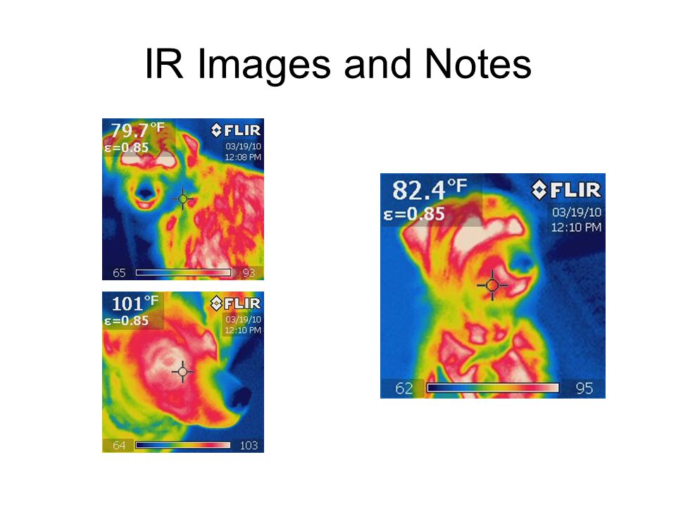 IR Images and Notes