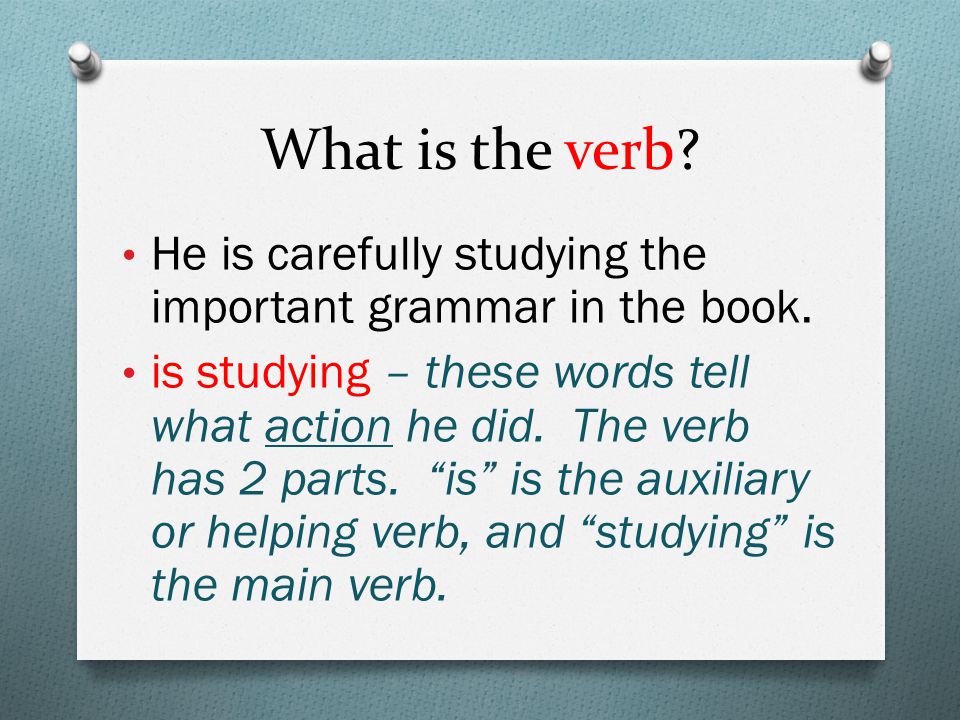 What is the verb. He is carefully studying the important grammar in the book.