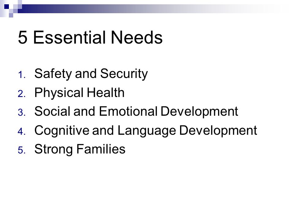 5 Essential Needs 1. Safety and Security 2. Physical Health 3.
