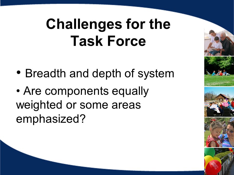 Challenges for the Task Force Breadth and depth of system Are components equally weighted or some areas emphasized