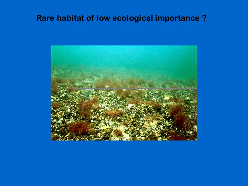 Rare habitat of low ecological importance