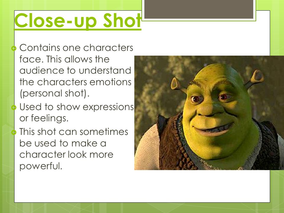 Shrek Film Techniques Long Shot Contains Landscape And Gives