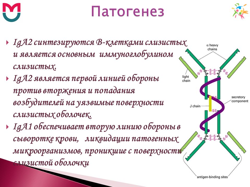 Иммуноглобулин Противоаллергический Купить В Самаре