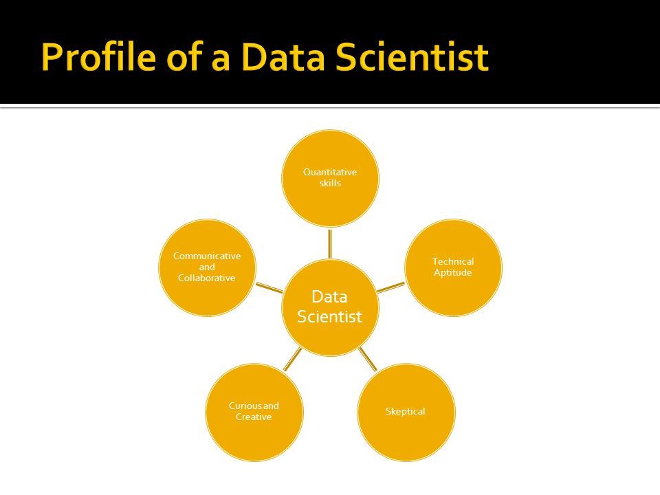 Data Scientist Quantitative skills Technical Aptitude Skeptical Curious and Creative Communicative and Collaborative