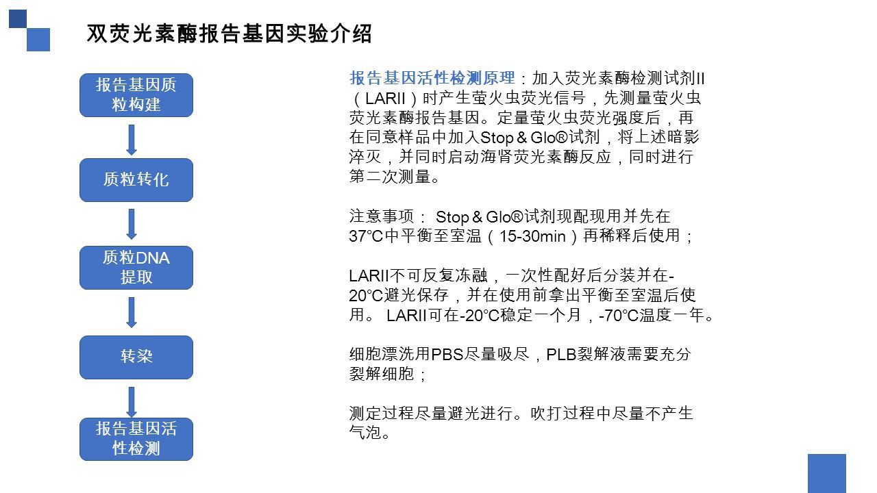 双荧光素酶报告基因介绍学生 刘艳玲导师 陈小平研究员日期 双荧光素酶报告基因实验介绍简介双荧光素酶报告基因实验是常用的检测