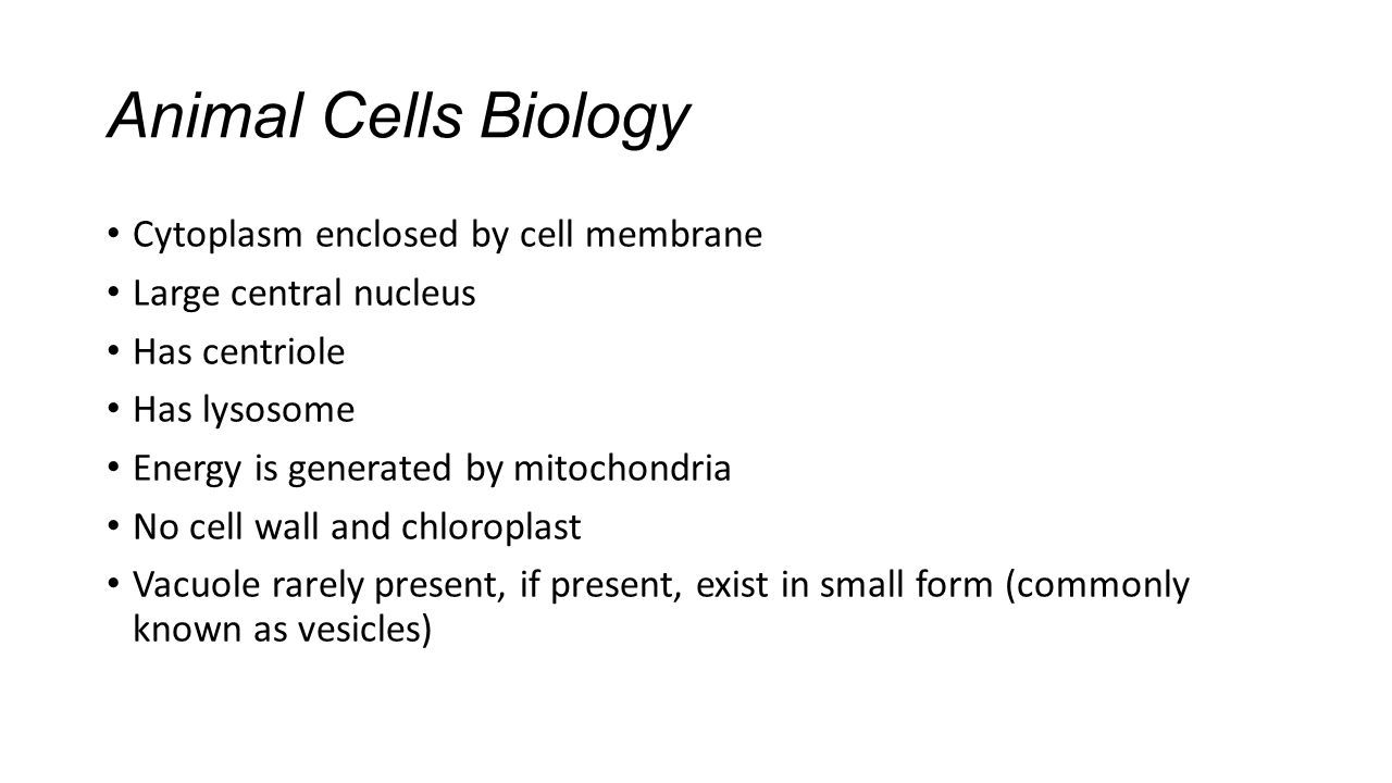 Chapter 2 Organisation of the organism. What is Cell? Cell is the basic ...