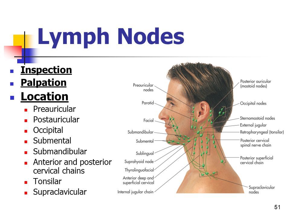 1 HEAD AND NECK Health Assessment MARITES TALANIA, RN LECTURER. - ppt ...