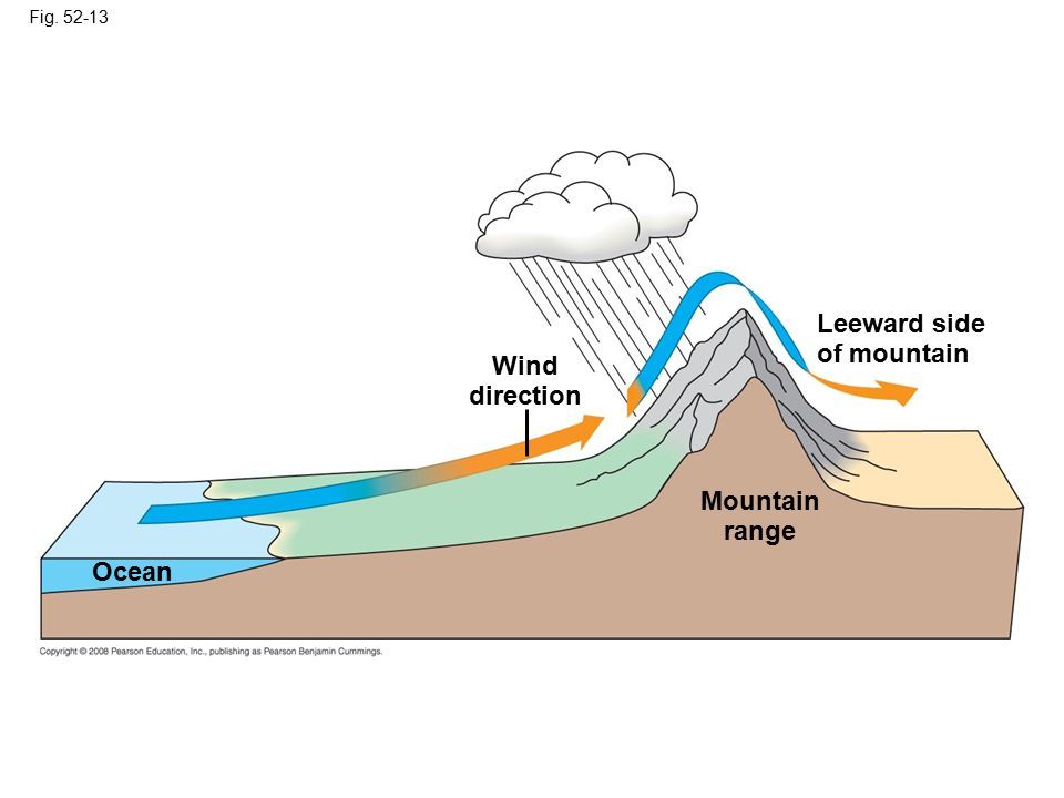 Leeward Side. Windward and Leeward. Wind Direction. Leeward and Windward terms. Mount directory