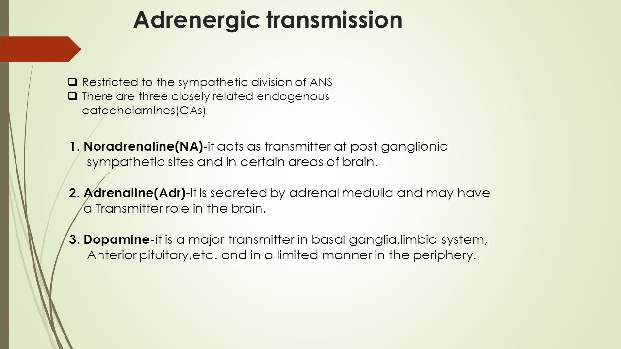 Adrenergic transmission  Restricted to the sympathetic division of ANS  There are three closely related endogenous catecholamines(CAs) 1.