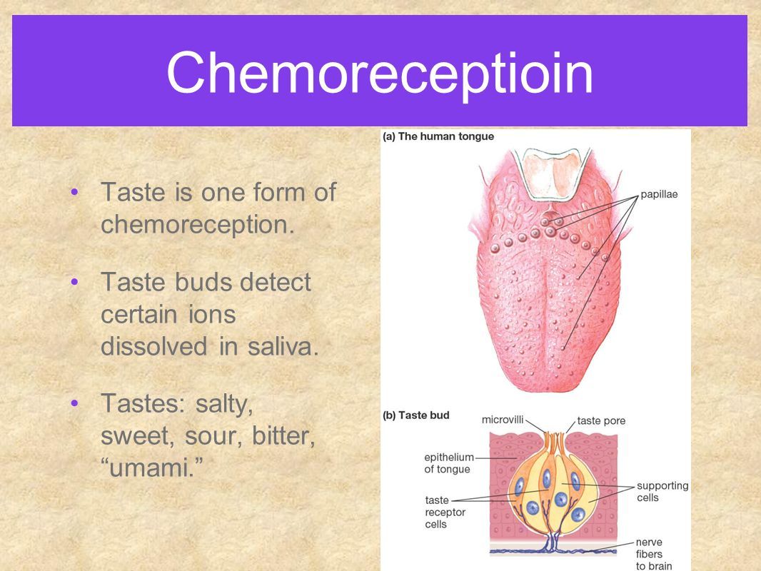 Chemoreceptioin Taste is one form of chemoreception.